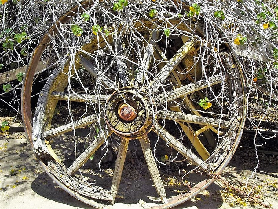 wagon, wheel, old, transportation, wooden, antique, western HD wallpaper