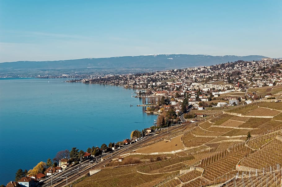 geneva, lake, vaud, switzerland, vineyards, lavaux, lake geneva, HD wallpaper