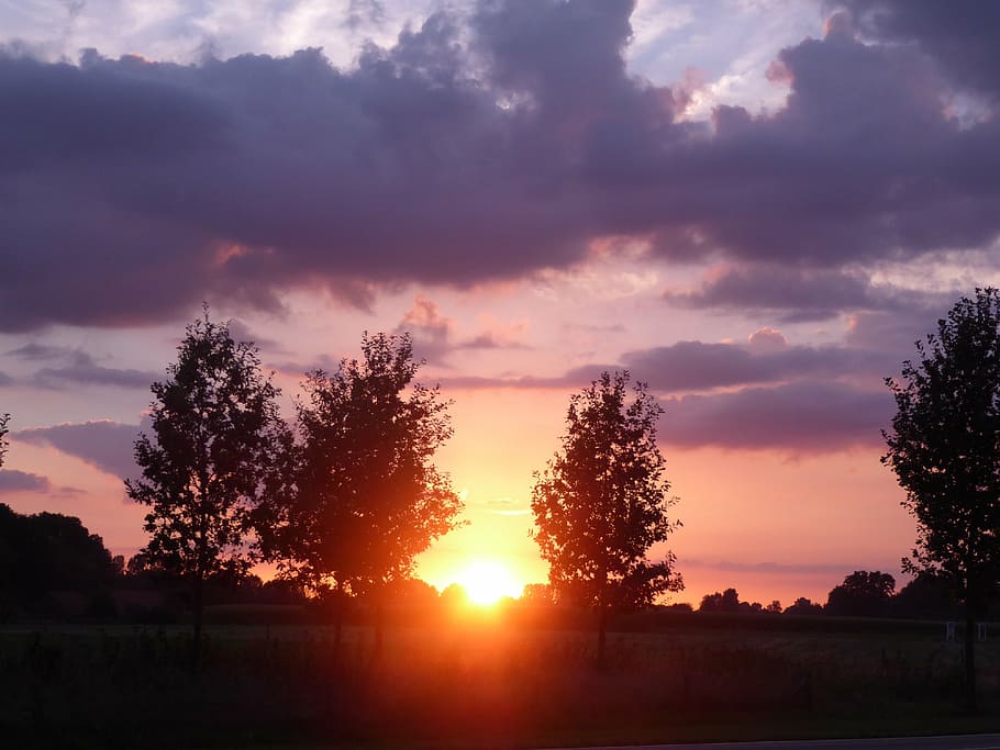 sunset, zelhem, trees, nature, gelderland, sky, cloud - sky HD wallpaper