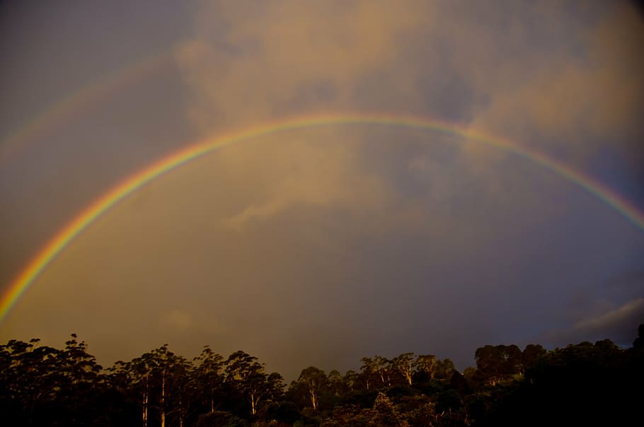 rainbow, sky, clouds, grey, horizon, trees, nature, sunset HD wallpaper