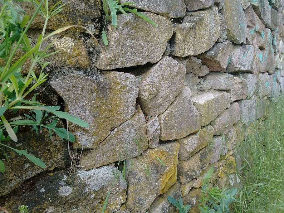 stone, wall, grass, green, old, outdoor, no people, plant, nature HD wallpaper