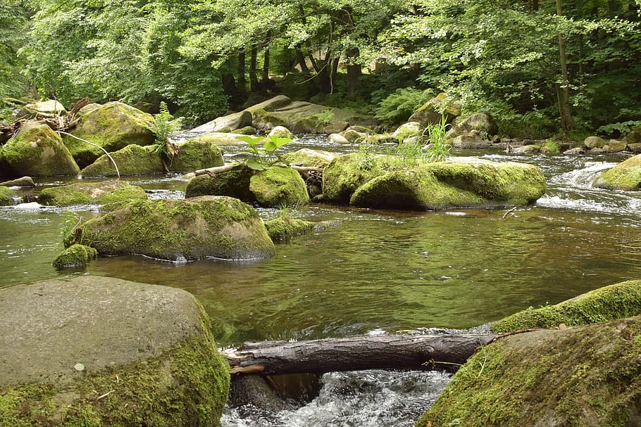 Bode, River, Water, Stones, Idyllic, mood, forest, trees, green HD wallpaper