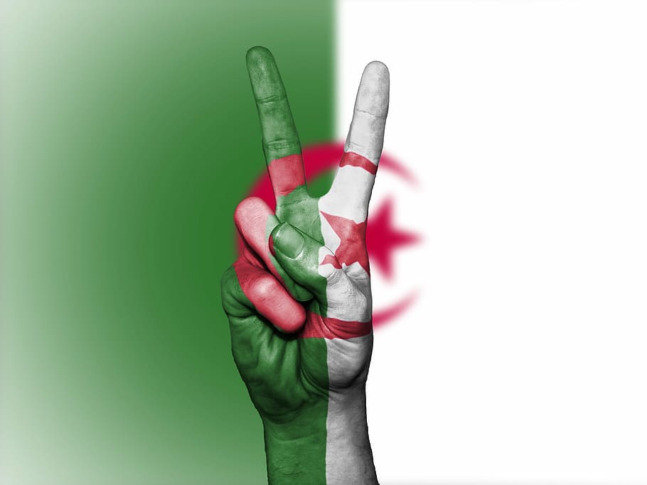 algeria, flag, peace, nation, national, government, banner, HD wallpaper