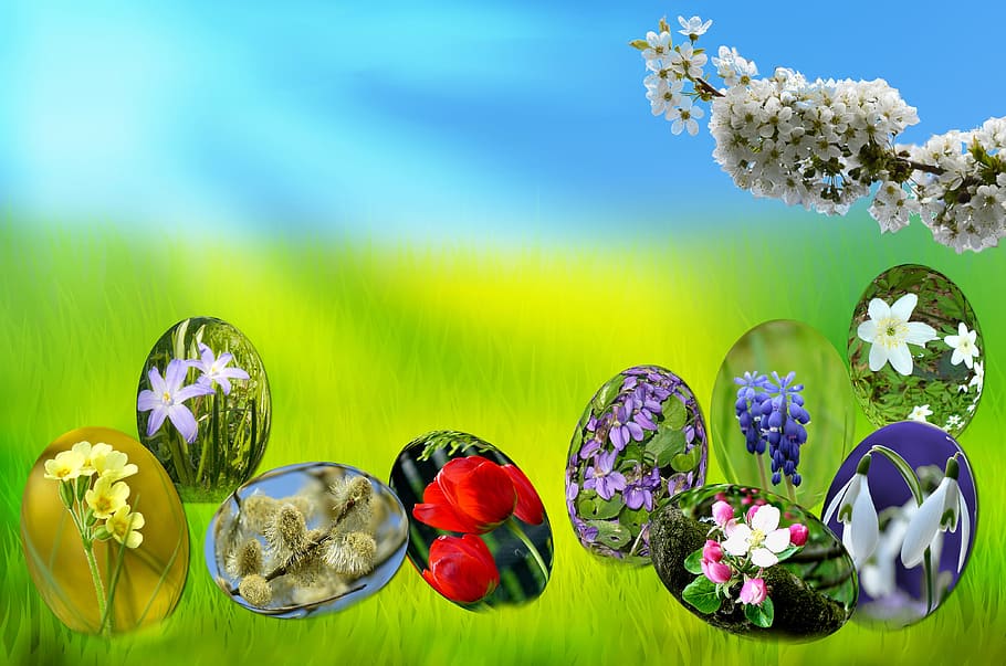 Easter, Eggs, Spring, Sun, Grass, Green, sky, blue, light, primrose HD wallpaper
