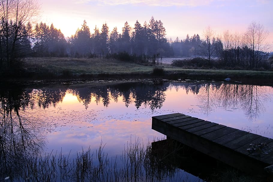 Pond, Sunrise, Water, Reflection, sunlight, lake, morning, landscape HD wallpaper