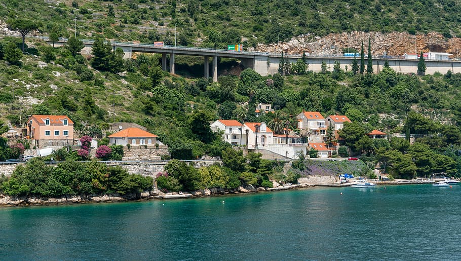 white painted house near body of water, croatia, dubronvik HD wallpaper