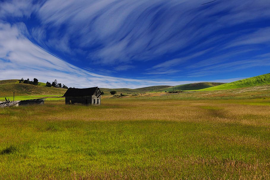 house on green grass field, brown shed on field under sky, Cabin HD wallpaper