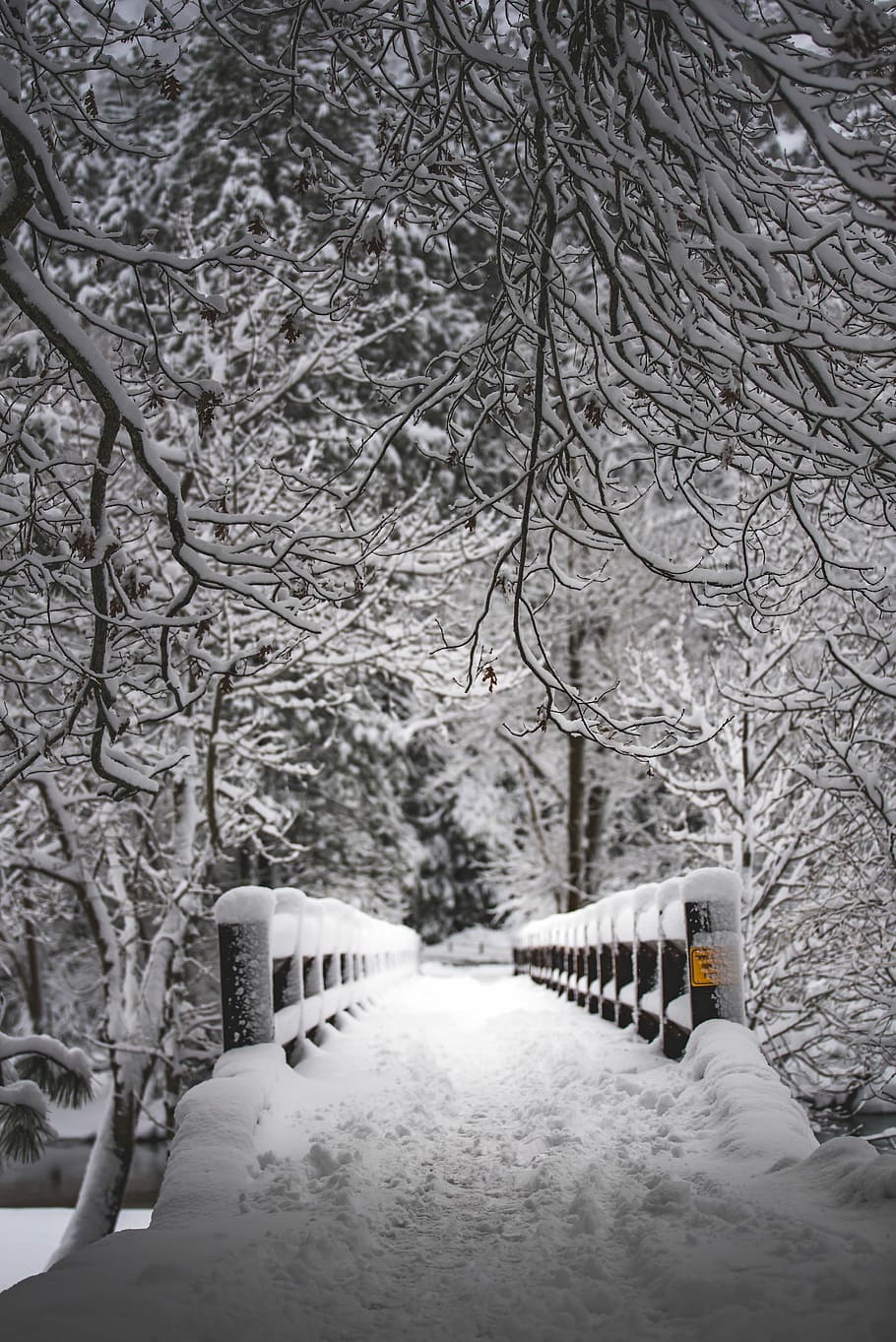 snow covered metal footed bridge in grayscale photography, concrete bridge covered with snow during daytime HD wallpaper
