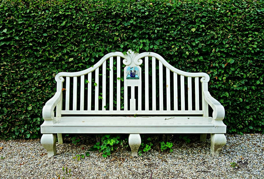 empty bench leaning on hedge, seat, furniture, wood, wooden bench