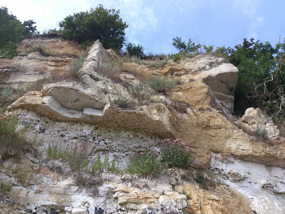 cliff, limestone, structure, detail, nature, special, light brown HD wallpaper