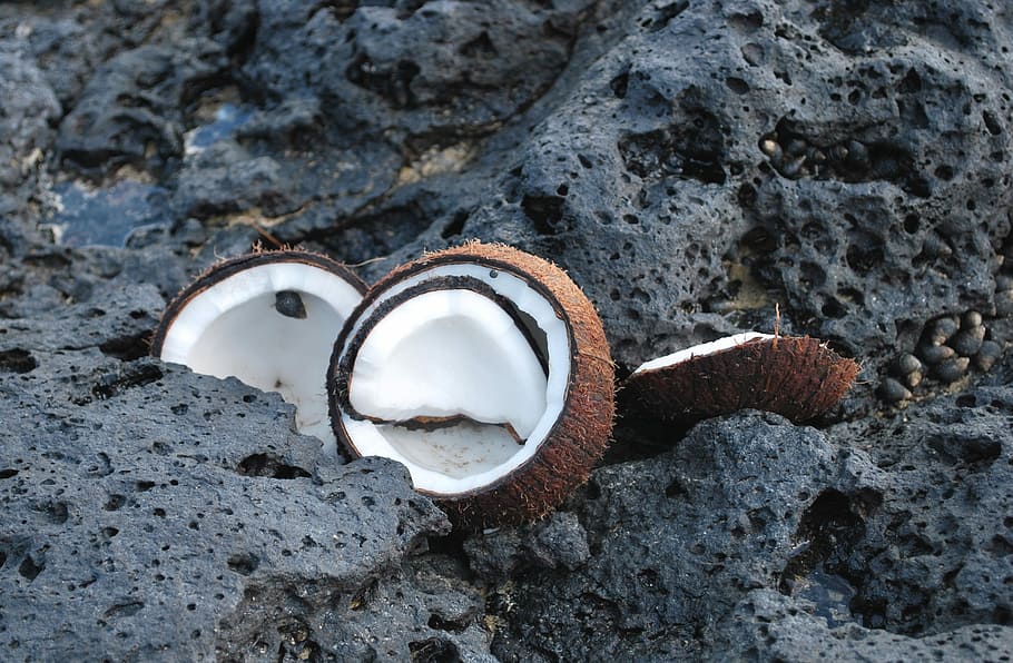 Cocos, Stone, Black, Beach, Nature, tropical, white, open, natural HD wallpaper