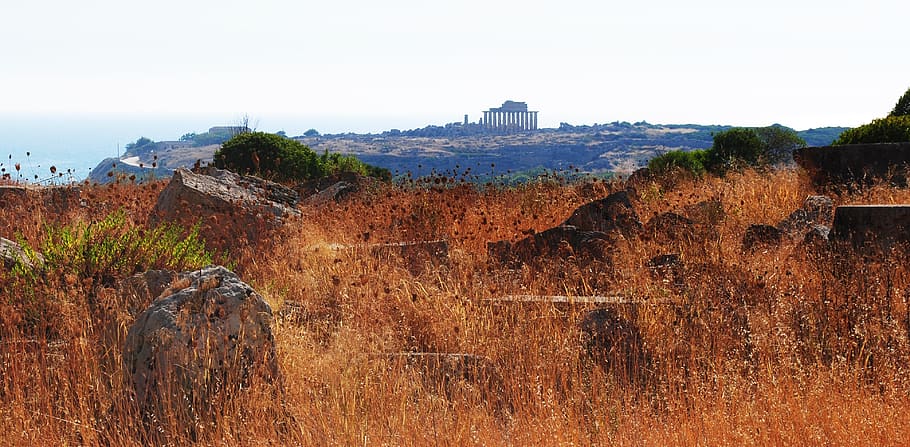 grass, acropolis, dahl, architecture, built structure, history HD wallpaper