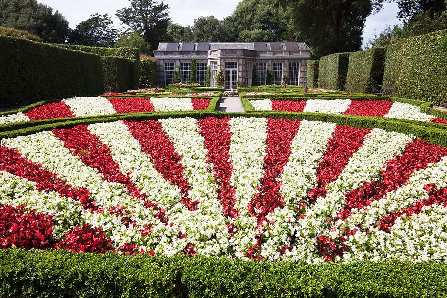 Garden, Rondelle, Flowers, architectural garden, red, white, HD wallpaper