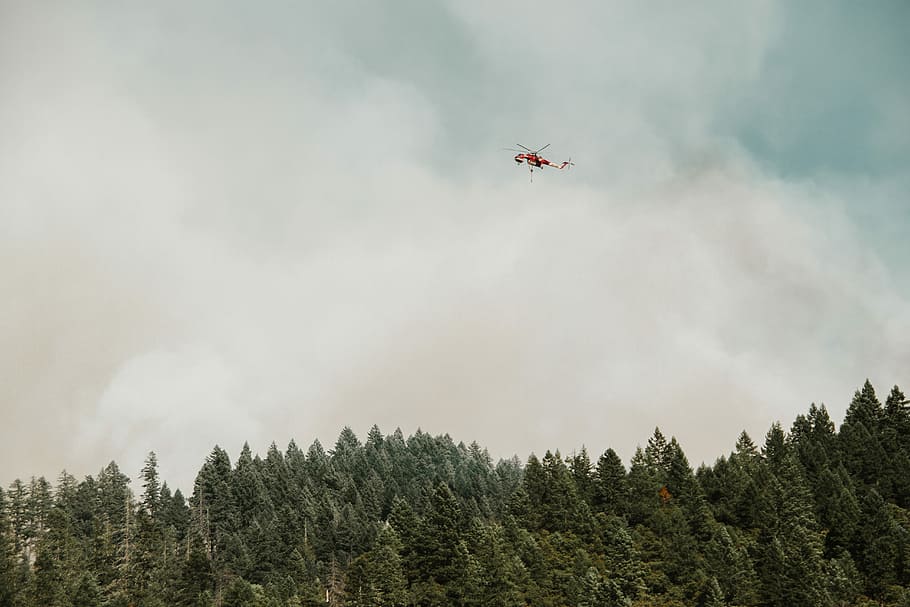 The Fight, forest fire during daytime, helicopter, cloudscape HD wallpaper