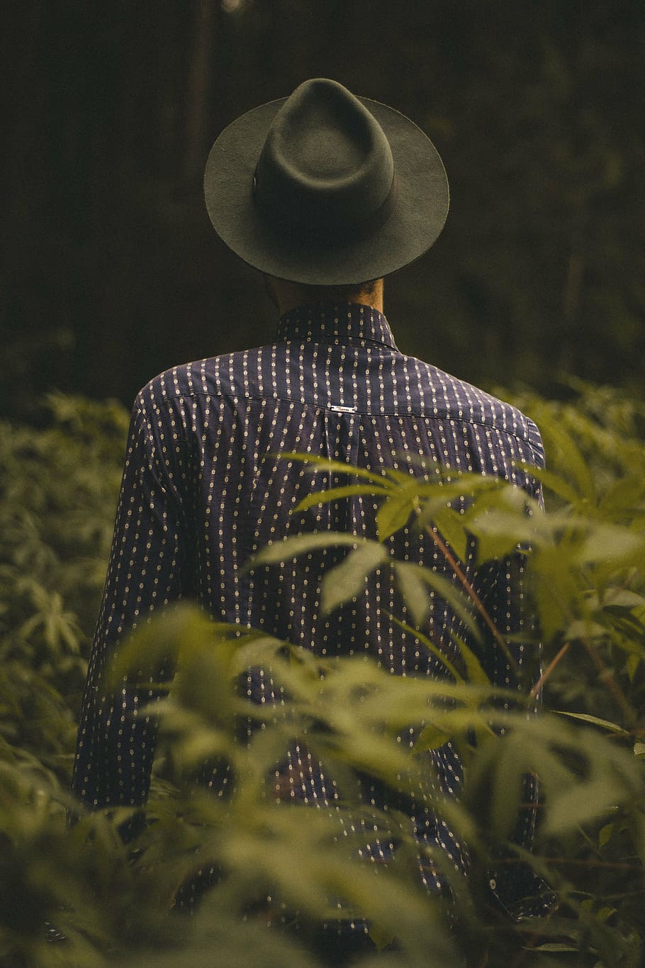 person wearing hat and sport shirt, people, guy, man, nature HD wallpaper