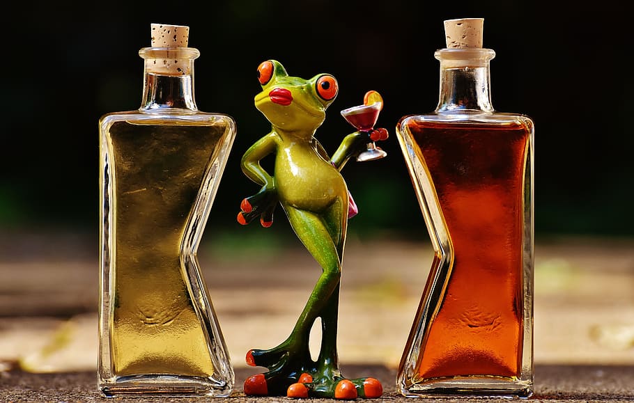 green frog between two glass bottles, frogs, chick, beverages