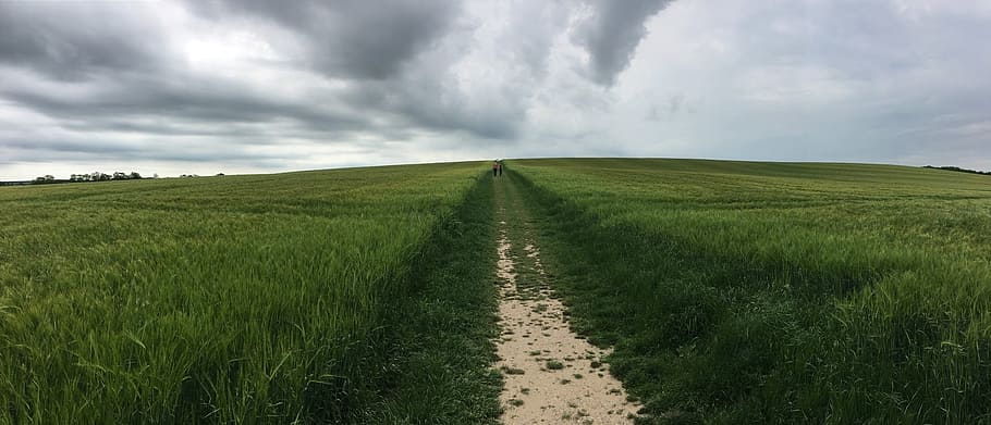 nature, panoramic, sky, grass, outdoors, cloud - sky, environment HD wallpaper