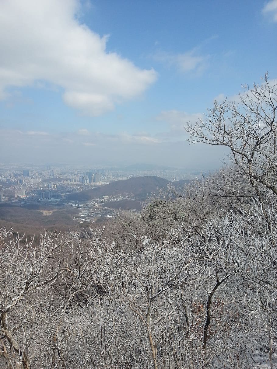 Snow, Mountain, Winter, no people, sky, nature, tree, day, outdoors HD wallpaper