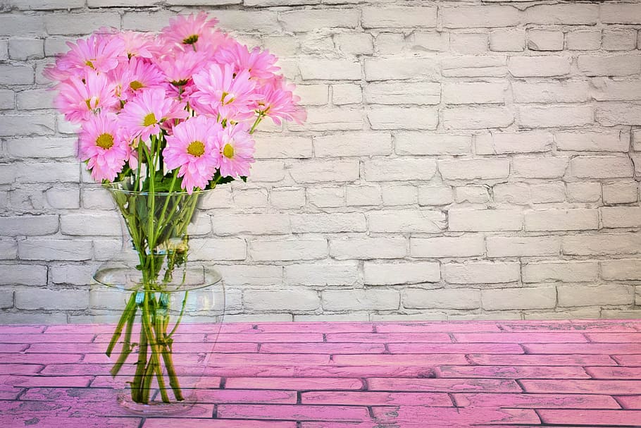 clear glass vase with pink flowers, spring, daisies, floral, bouquet, HD wallpaper