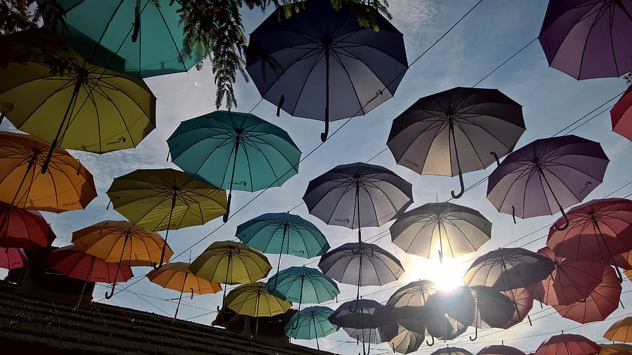 umbrella, sunlight, theme, park, morning, sunny, low angle view HD wallpaper