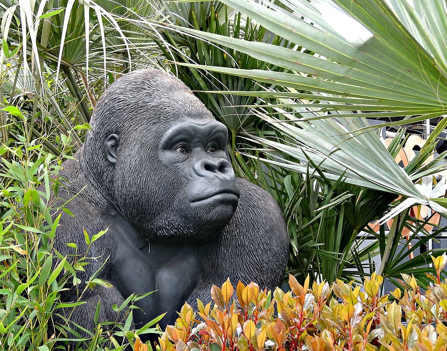 Animal, Gorilla, Fake, Plastic, Wildlife, nature, ape, mammal