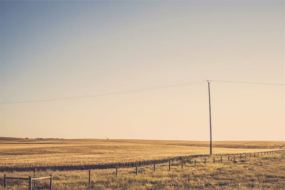 brown grass lawn during daytime, body, water, photography, rural HD wallpaper