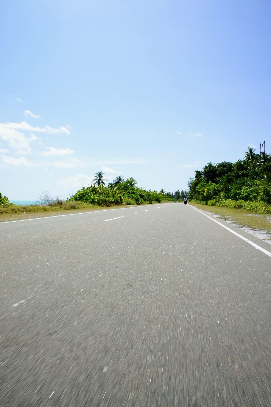 Road, Asphalt, Ground, Trees, nature, transportation, highway HD wallpaper