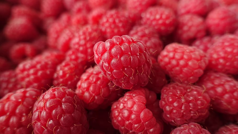 close-up photo of red raspberries, raspberry, food, fruit, fresh HD wallpaper