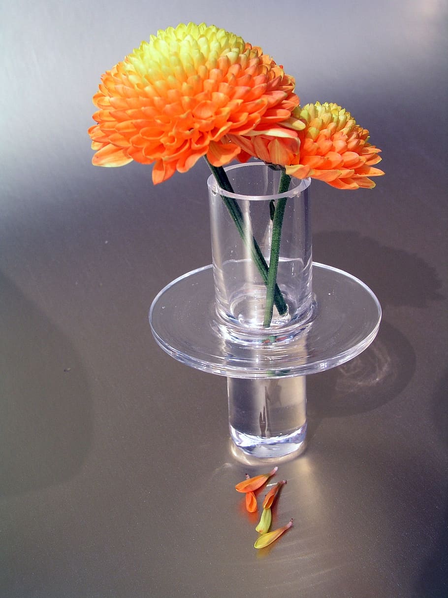 crystal, still life, flower, vase, flowering plant, nature HD wallpaper