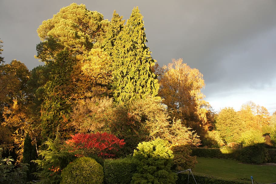 garden, sun, trees, summer, sunny, landscape, sunlight, colorful HD wallpaper