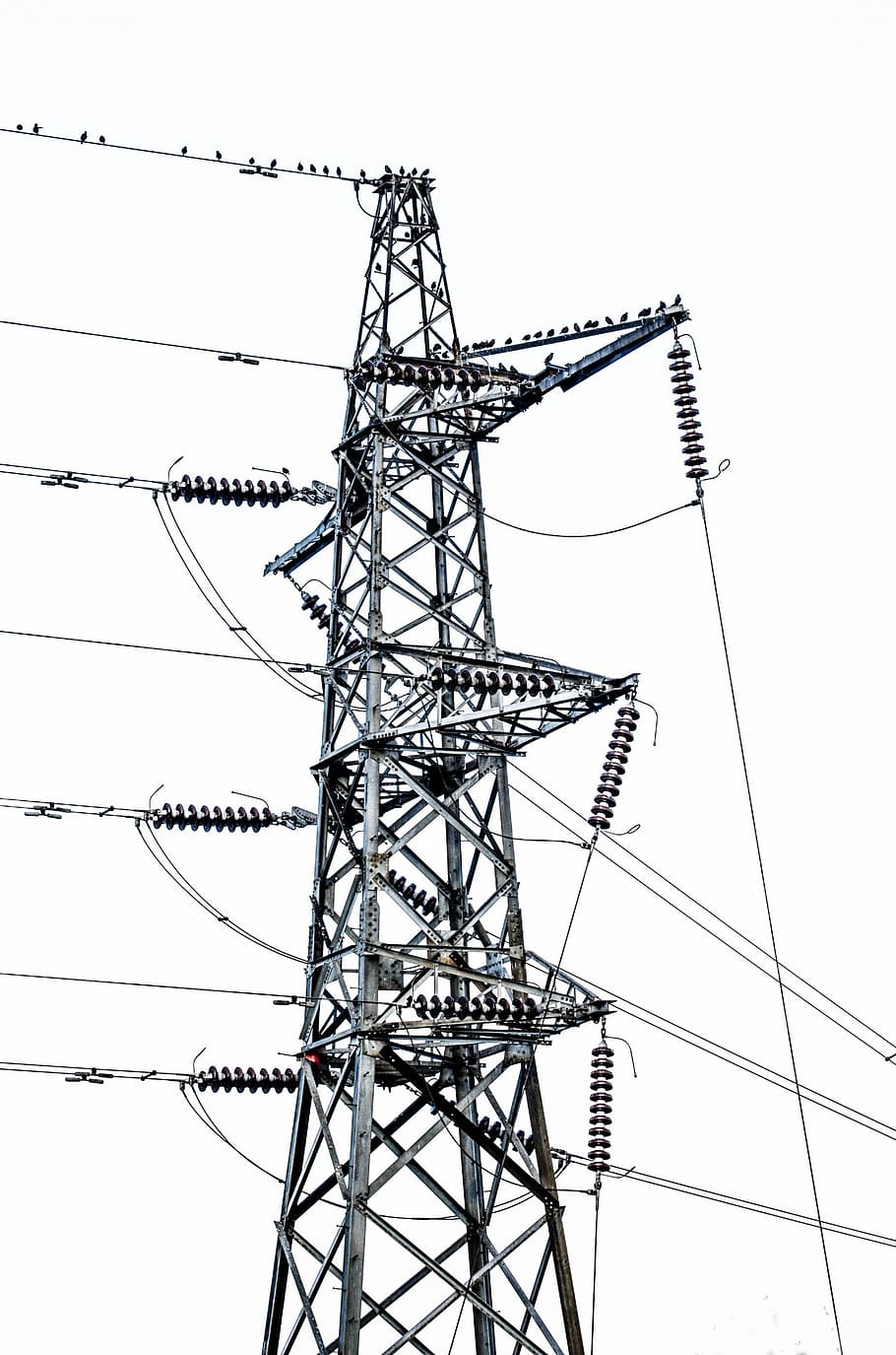 cable, construction, distribution, dusk, electric, electrical HD wallpaper
