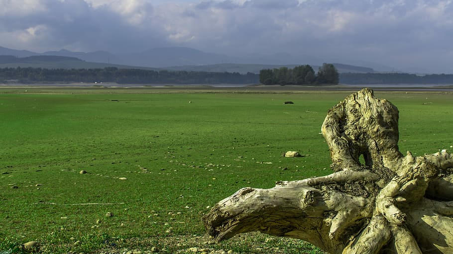 Green, Slovakia, field, no people, sky, cloud - sky, outdoors HD wallpaper