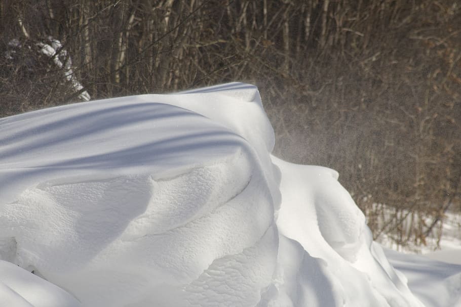 Winter, Snow, Snowdrift, nature, cold - Temperature, white HD wallpaper