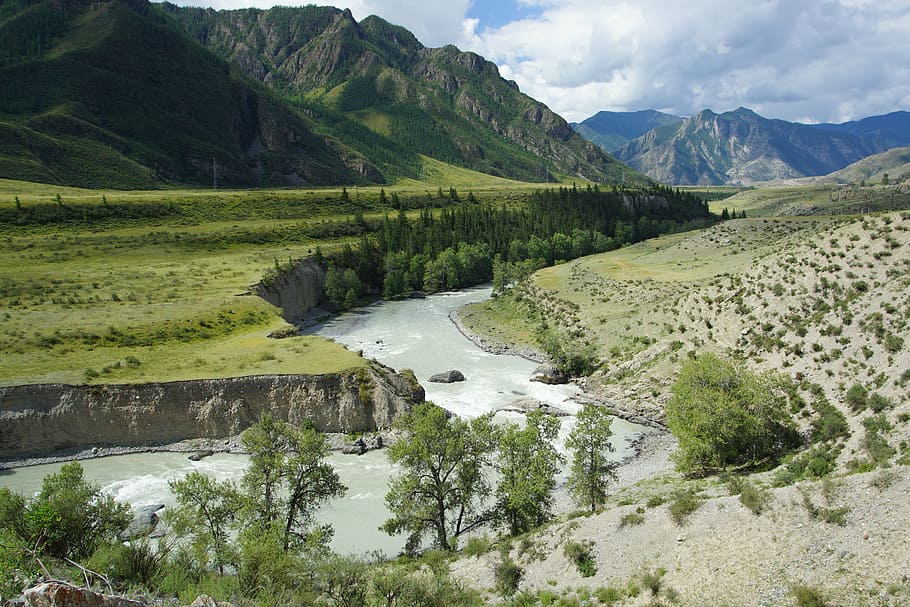 mountain altai, river, landscape, nature, river bank, summer, HD wallpaper