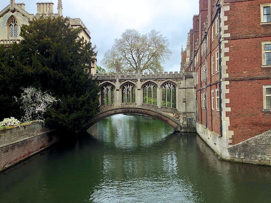 gray stone bridge, Cambridge, Architecture, Britain, university, HD wallpaper