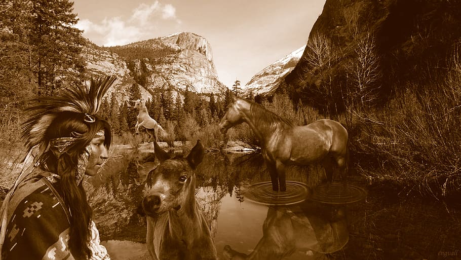grayscaled photo of native american man, sense, left, lust HD wallpaper