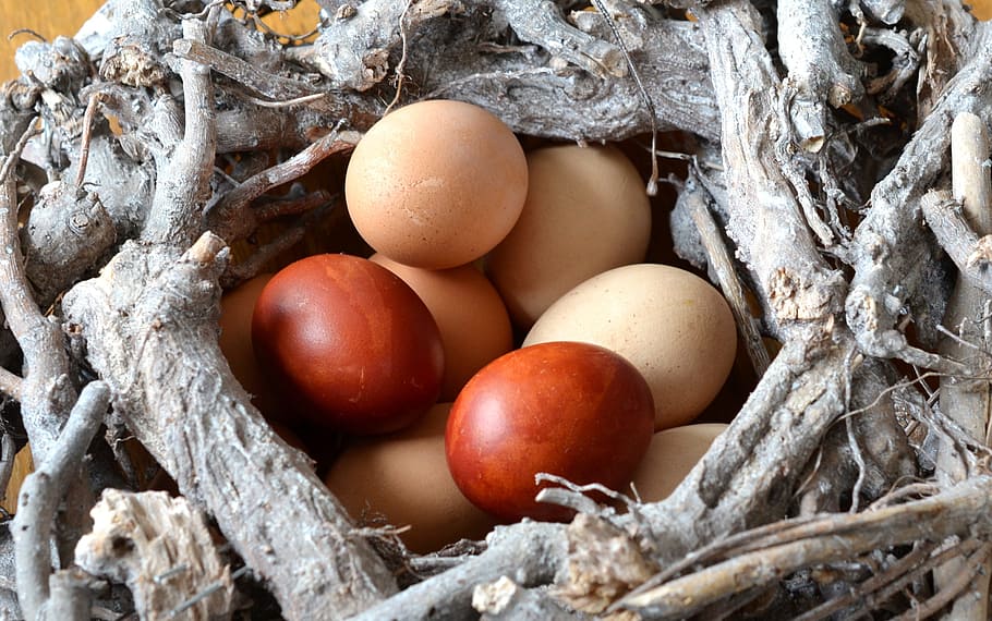 brown and beige eggs, easter eggs, eat, nest, food, color, food and drink HD wallpaper