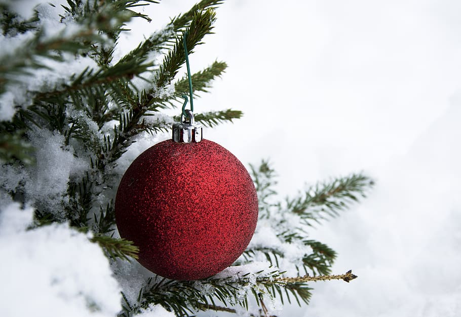 christmas, winter, tree, gran, christmas decoration, holiday HD wallpaper