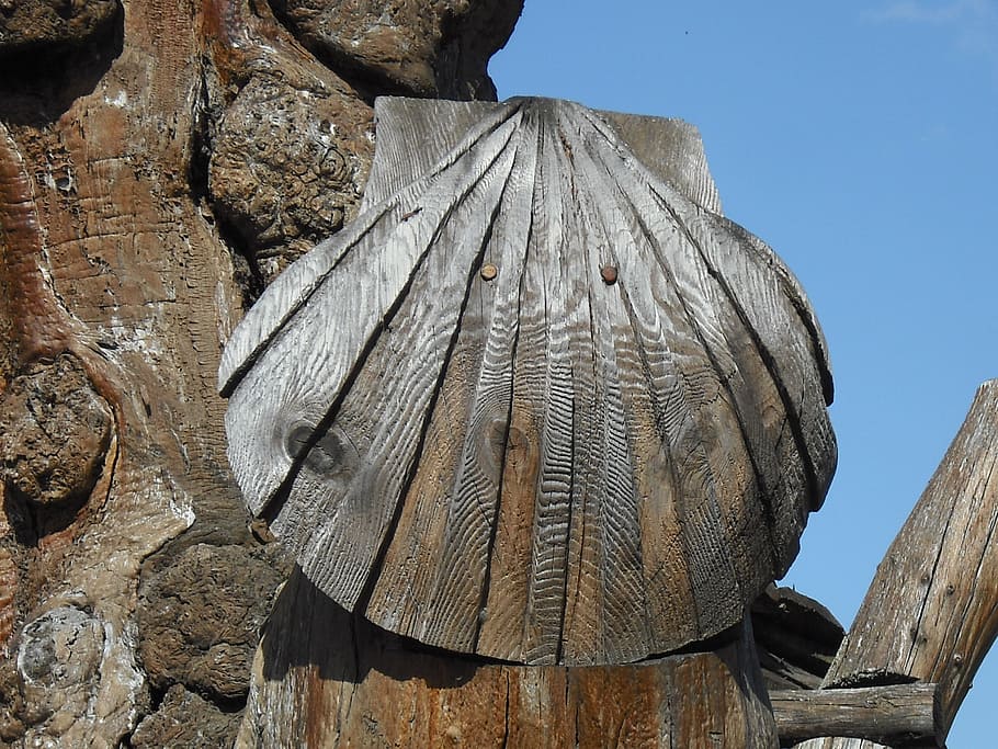 saint jacques de compostela, shell, symbolism, no people, day HD wallpaper