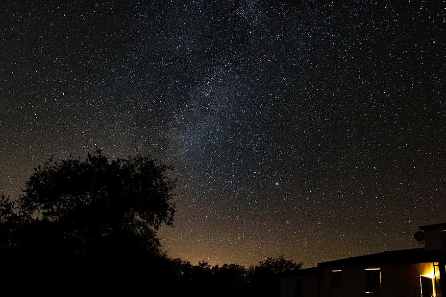 silhouette of tree under sky filled with stars at night time, stars during nighttime HD wallpaper