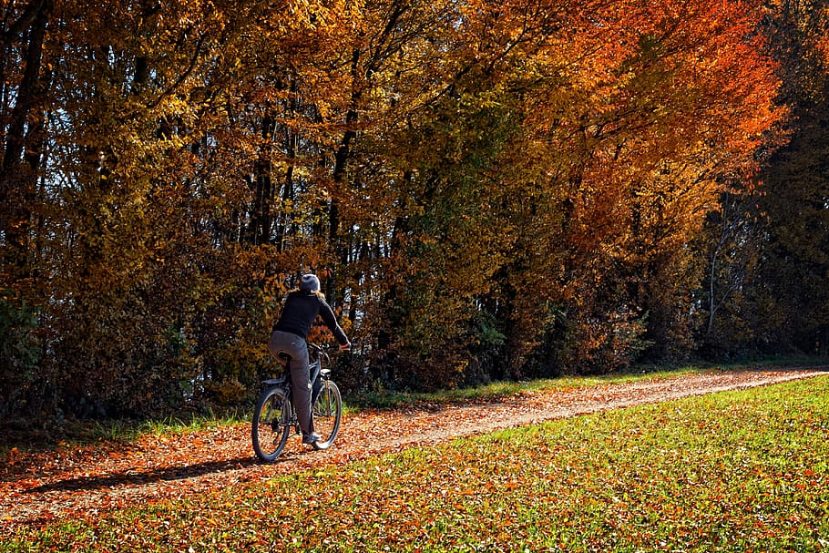 person riding on bicycle while traveling on pathway, Autumn HD wallpaper