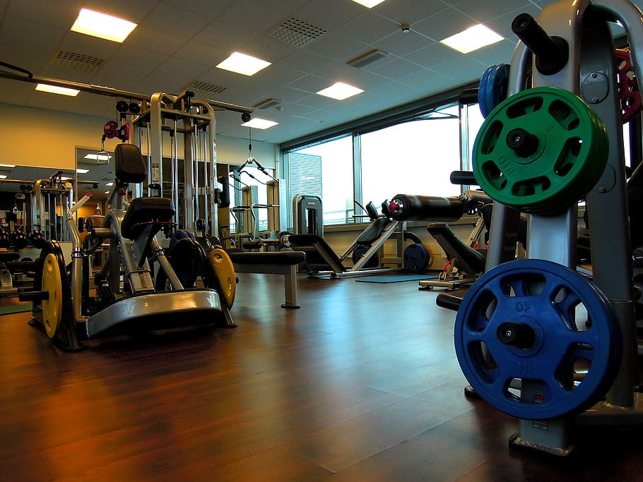 in the gym, exercise in, weights, equipment, gym equipment