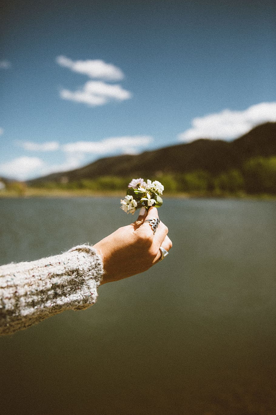 woman holding white petaled flowers, shallow focus photography of woman holding white flowers near large body of water during daytime, HD wallpaper
