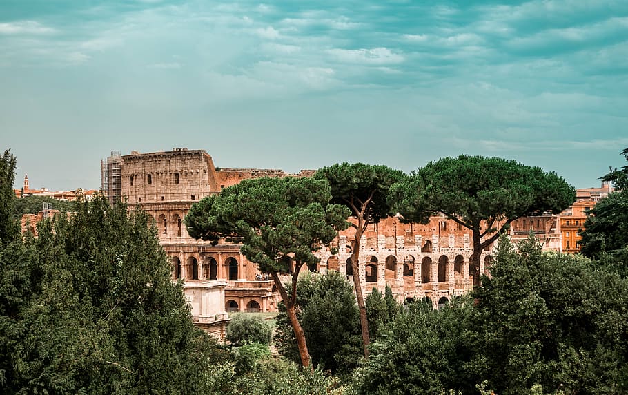 gray coliseum beside trees, nature, landscape, green, leaves HD wallpaper