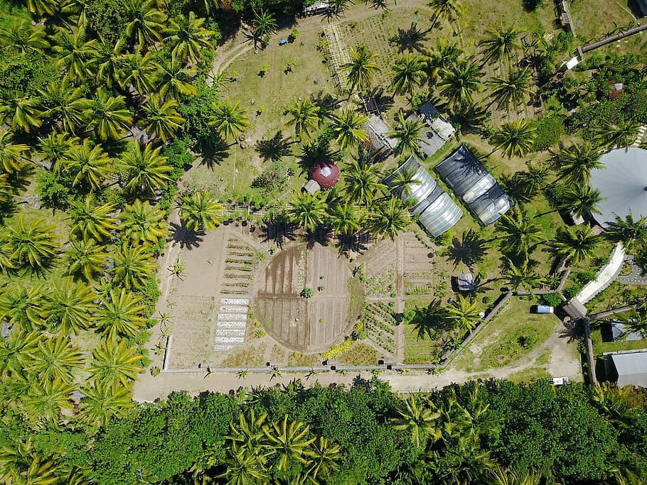 aerial photography of farm, bird's eye view photo of crop field HD wallpaper