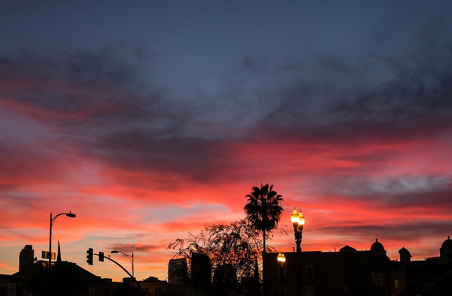 silhouette of trees and buildings, dusk, sunset, pink, sky HD wallpaper