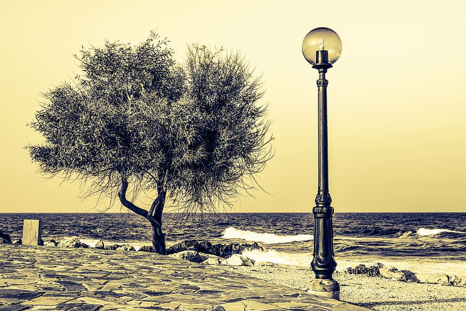 tree, lantern, lamp, sea, waves, scenery, elegance, protaras HD wallpaper