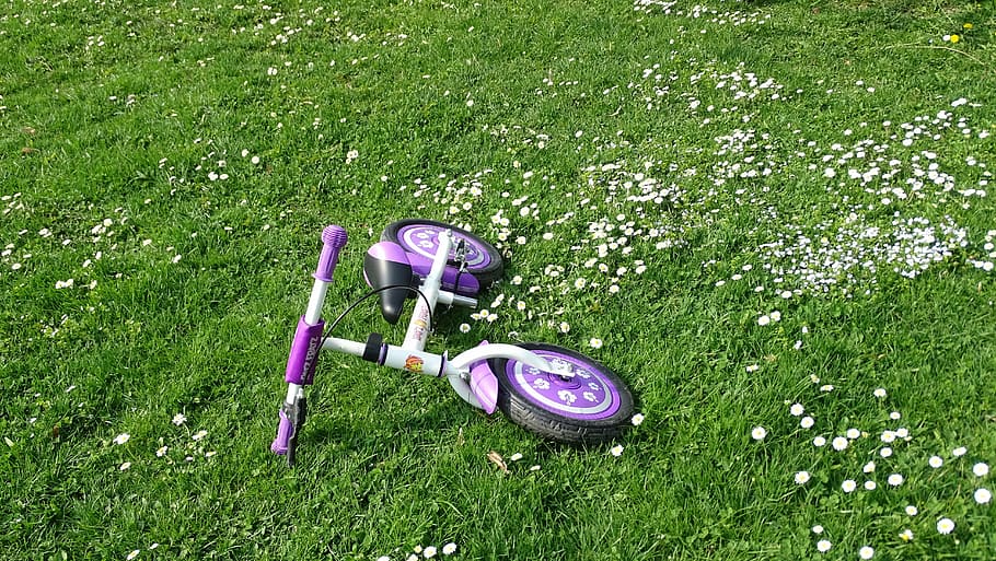 bike, grass, kids bike, bicycle, outdoor, activity, nature, HD wallpaper