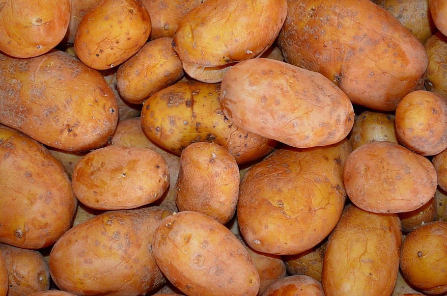 potatoes, vegetables, background, food, food and drink, freshness HD wallpaper