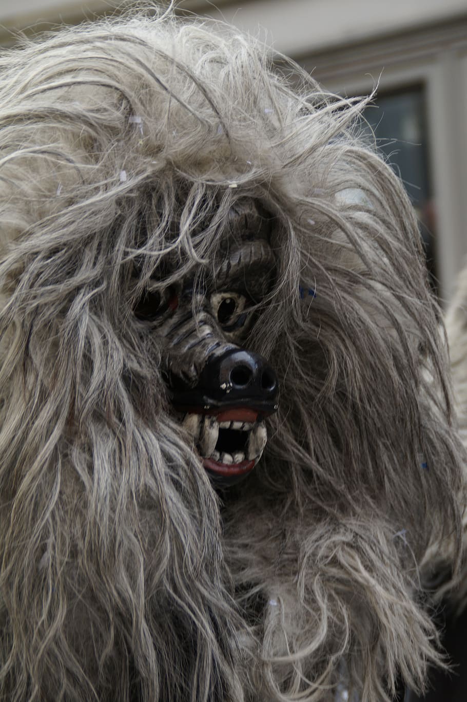 wolf, fur, head, figure, fool, haestraeger, carnival, fools jump HD wallpaper